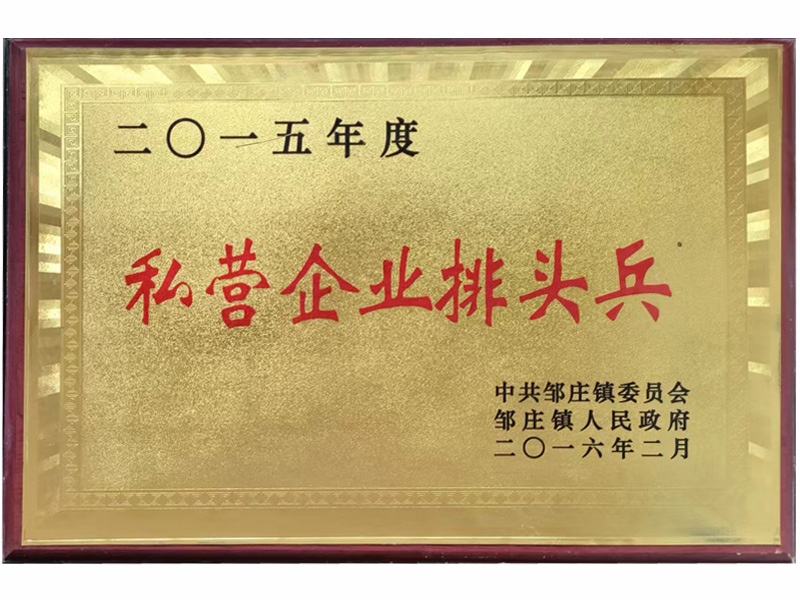 2015年度私營企業(yè)排頭兵